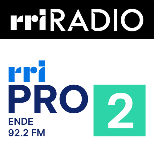 Pro 2 RRI Ende.png