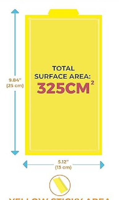 81895XZsvUL. AC SX522 .jpg