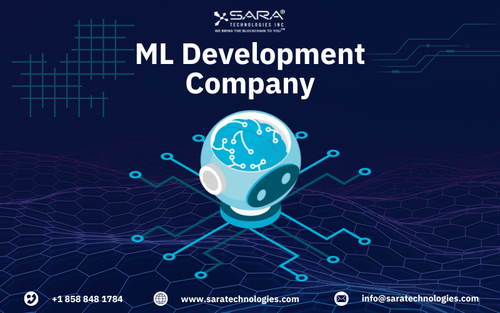 ML Development Company.png