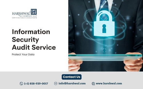 Information Security Audit Service protect your data.jpg