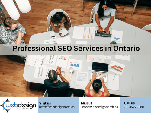 Professional SEO Services in Ontario.png