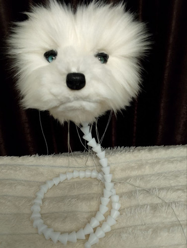 1737723496 1922772463.jpg