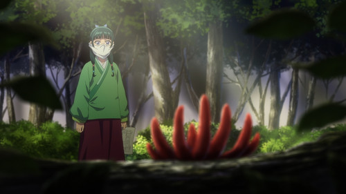 [Erai raws] Kusuriya no Hitorigoto 2nd Season 03 [1080p CR WEB DL AVC AAC][MultiSub][D3004160].mkv s.jpg