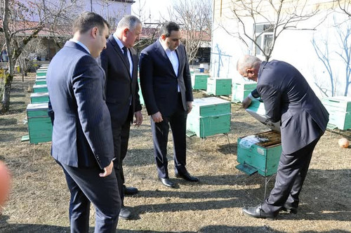 474328834 1012469217580596 3098583611714568441 n.jpg?stp=dst jpg p526x395 tt6& nc cat=103&ccb=1 7& n.jpg