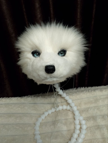 1737729654 683536121.jpg