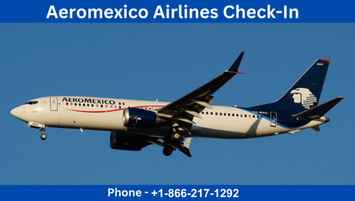Aeromexico Airlines Check in.png