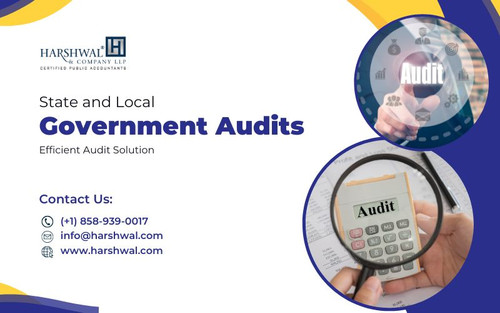 state and local government audits efficient audit solution.jpg