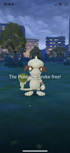 IMG 3522.png