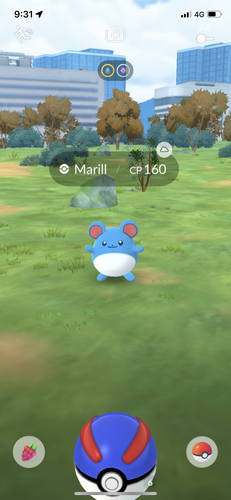 IMG 3695.png