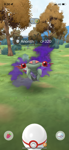 IMG 3689.png