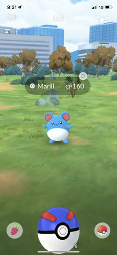 IMG 3696.png