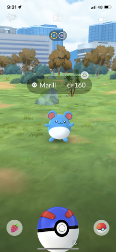 IMG 3694.png