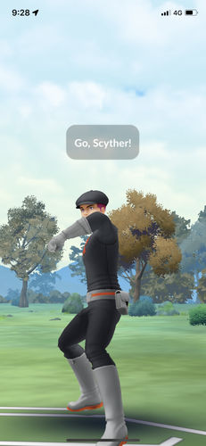 IMG 3684.png