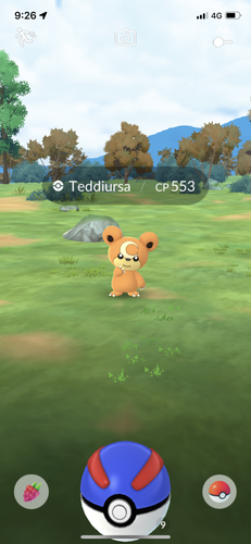 IMG 3675.png