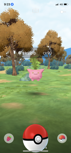 IMG 3670.png