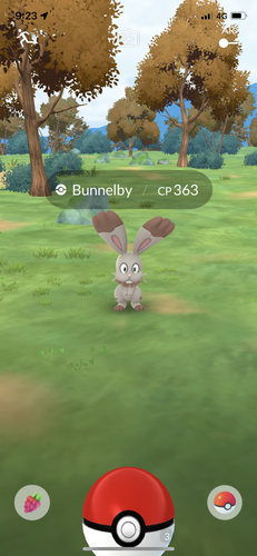 IMG 3671.png