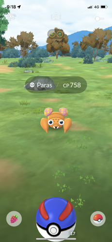 IMG 3663.png
