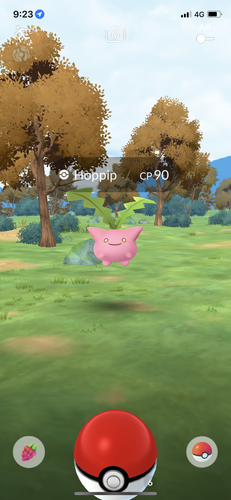 IMG 3669.png