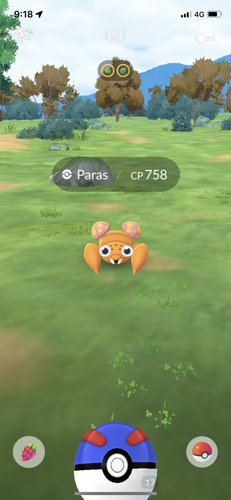 IMG 3662.png