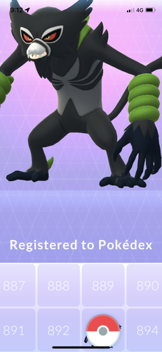 IMG 3654.png