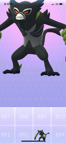 IMG 3655.png