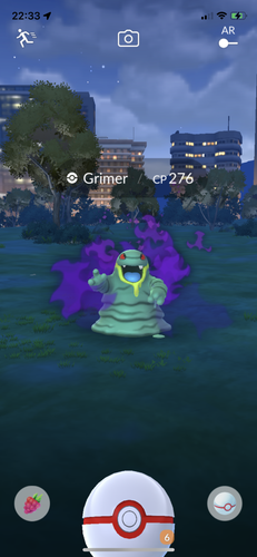 IMG 3757.png
