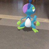 IMG 3576