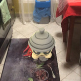 IMG 3545