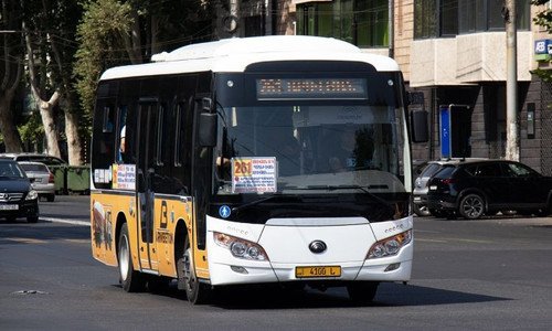 474687912 1035632681939528 9049413870131957920 n.jpg? nc cat=107&ccb=1 7& nc sid=127cfc& nc ohc=DzkF.jpg