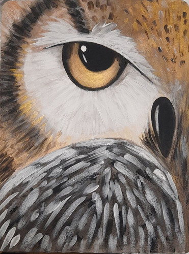 1737747503 825993257.jpg