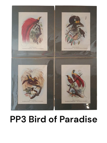 Poster Bird of Indonesian.jpg