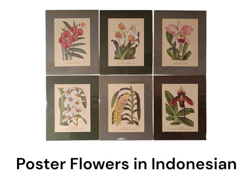 Poster Angrek of Indonesian.jpg