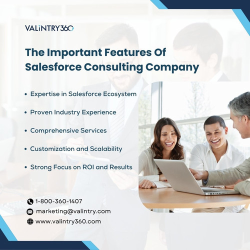 The Important Features Of Salesforce Consulting Company.jpg