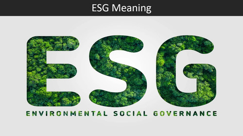 ESG Meaning.jpg