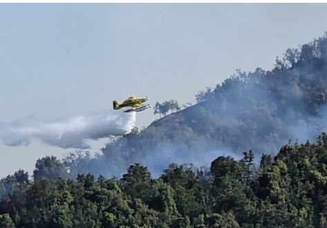 El incendio en el Parque Nacional Nahuel Huapi ya arrasó más de 6.400 hectáreas de bosque nativo