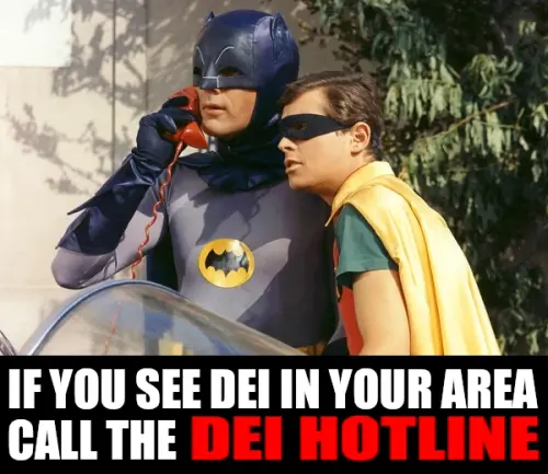 batmanrobinphone dei.webp