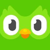 Duolingo Language Lessons icon