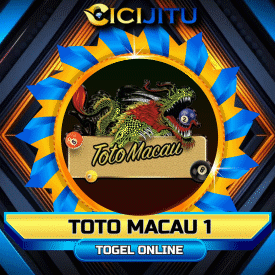 TOTOMACAU1.webp