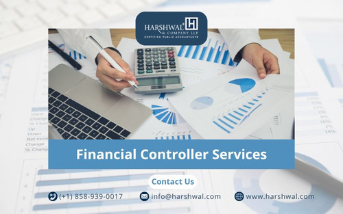 Financial Controller Services customized services HCLLP.jpg