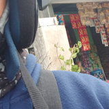 344ef24d91c6.png