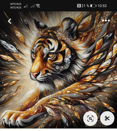 1738655976 580463790.jpg
