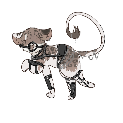 Untitled1492 20250202214141.png