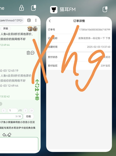 Screenshot 20250203 133850 com.huawei.android.launcher edit 201557613010909.1