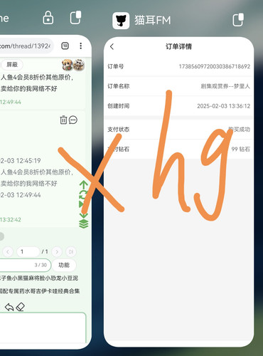 Screenshot 20250203 133831 com.huawei.android.launcher edit 201524841693727.1