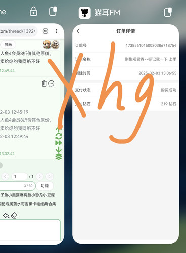 Screenshot 20250203 133844 com.huawei.android.launcher edit 201542374761432.1