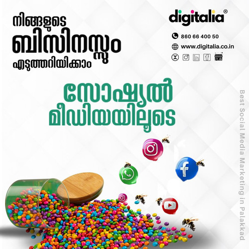 Best social media marketing in Palakkad.jpg