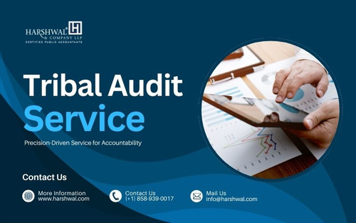 Tribal Audit service precision driven service HCLLP.jpg