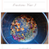 BoP Fractions Year 3