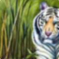 d689fbd778a4.png