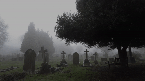 cemetery walk.gif